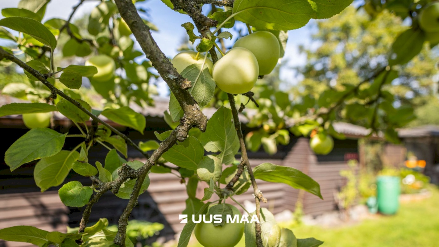 Tallinn, Nõmme linnaosa, Liiva, Värava tn 5