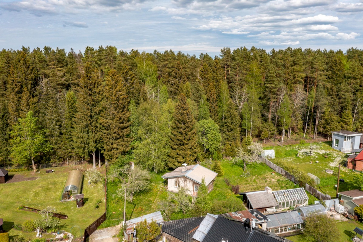 Saku vald, Metsanurme küla, Kasemetsa tee 56