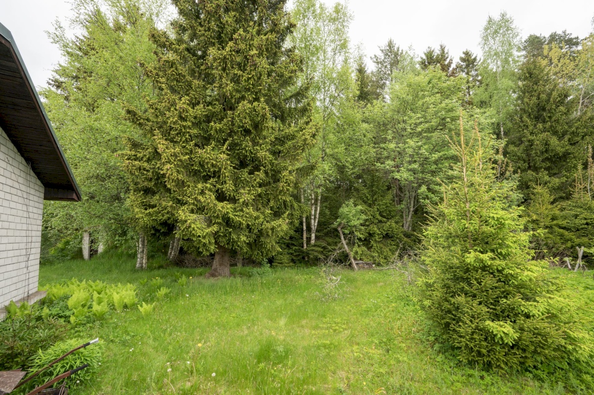 Saku vald, Metsanurme küla, Kasemetsa tee 56