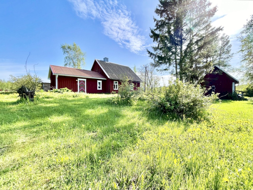 Haapsalu linn, Puise küla