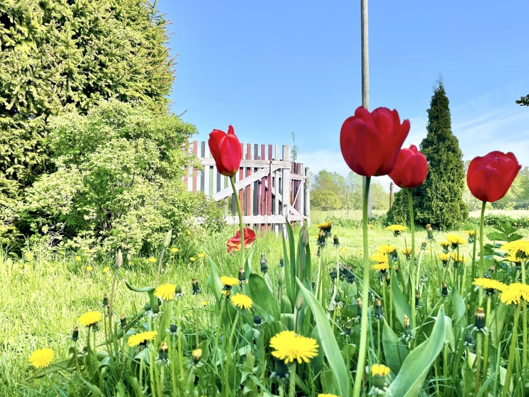 Haapsalu linn, Puise küla
