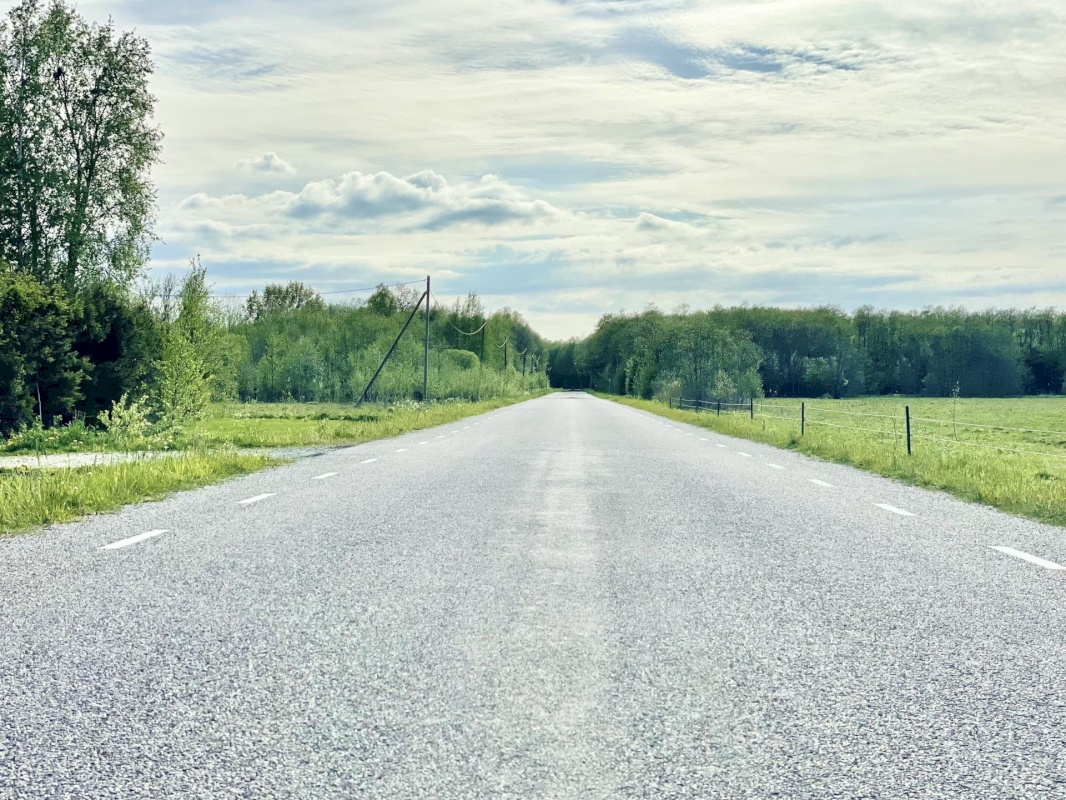 Haapsalu linn, Puise küla