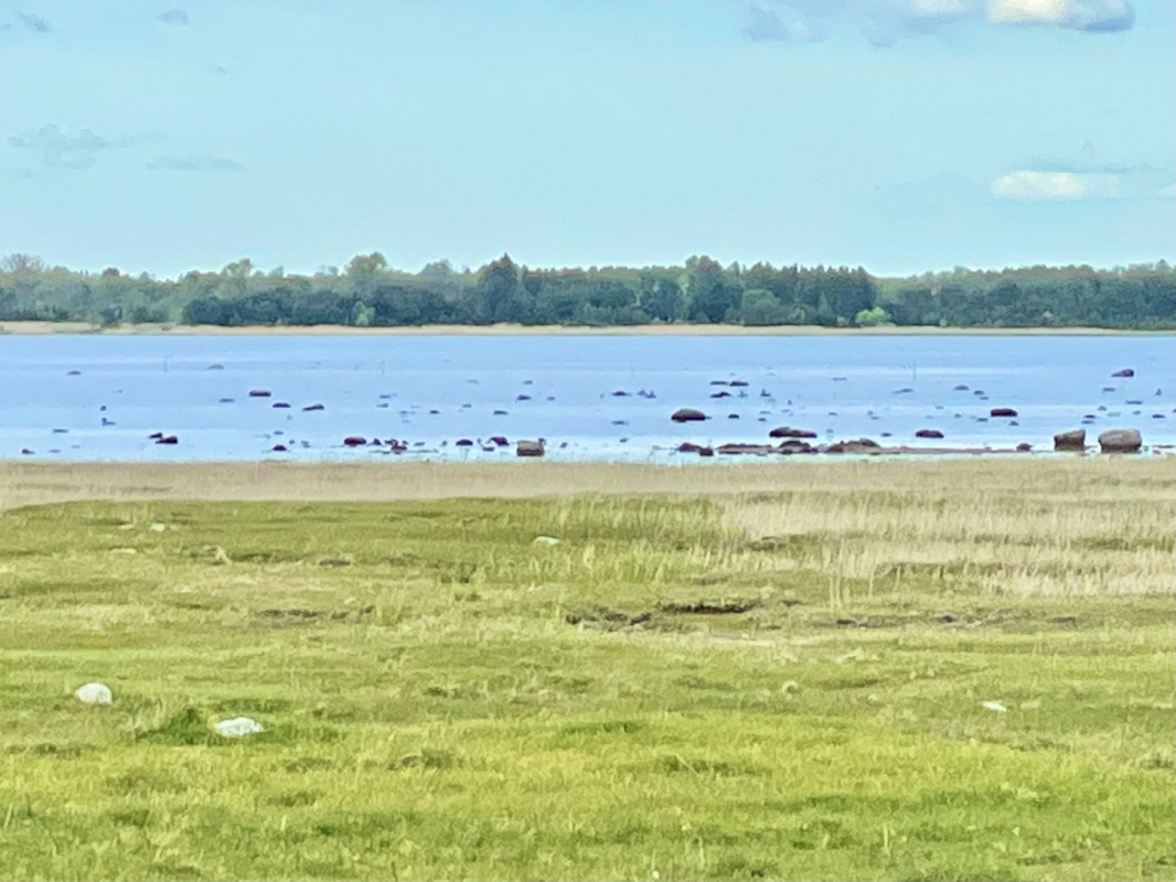 Haapsalu linn, Puise küla