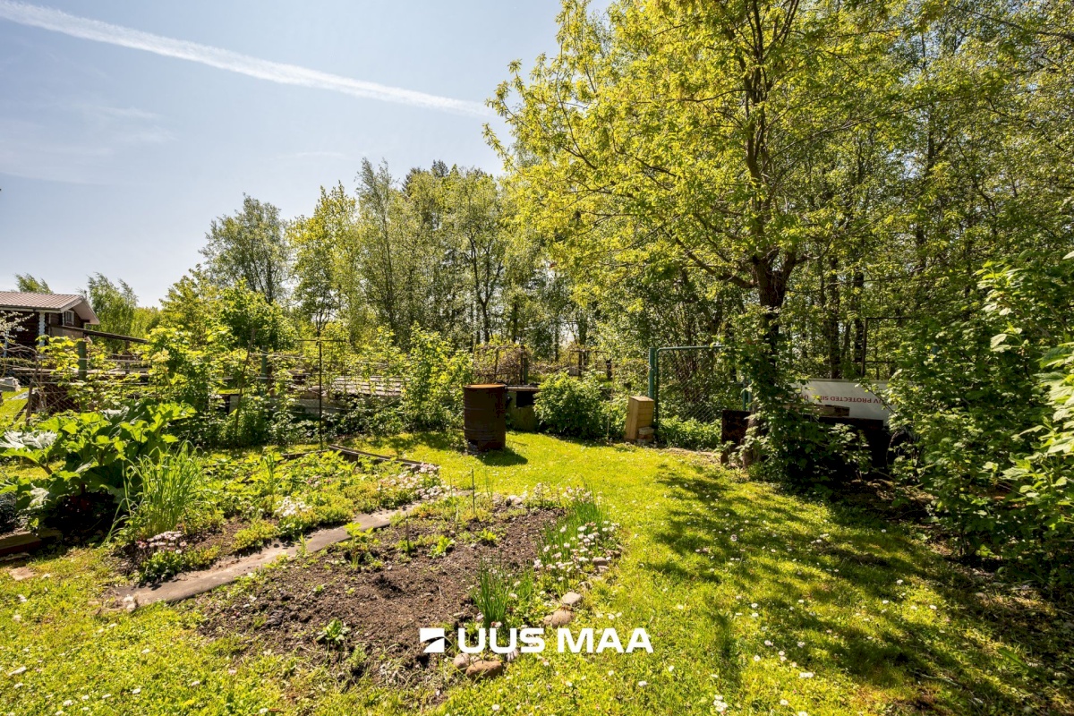 Jõelähtme vald, Uusküla, Saare tee 38