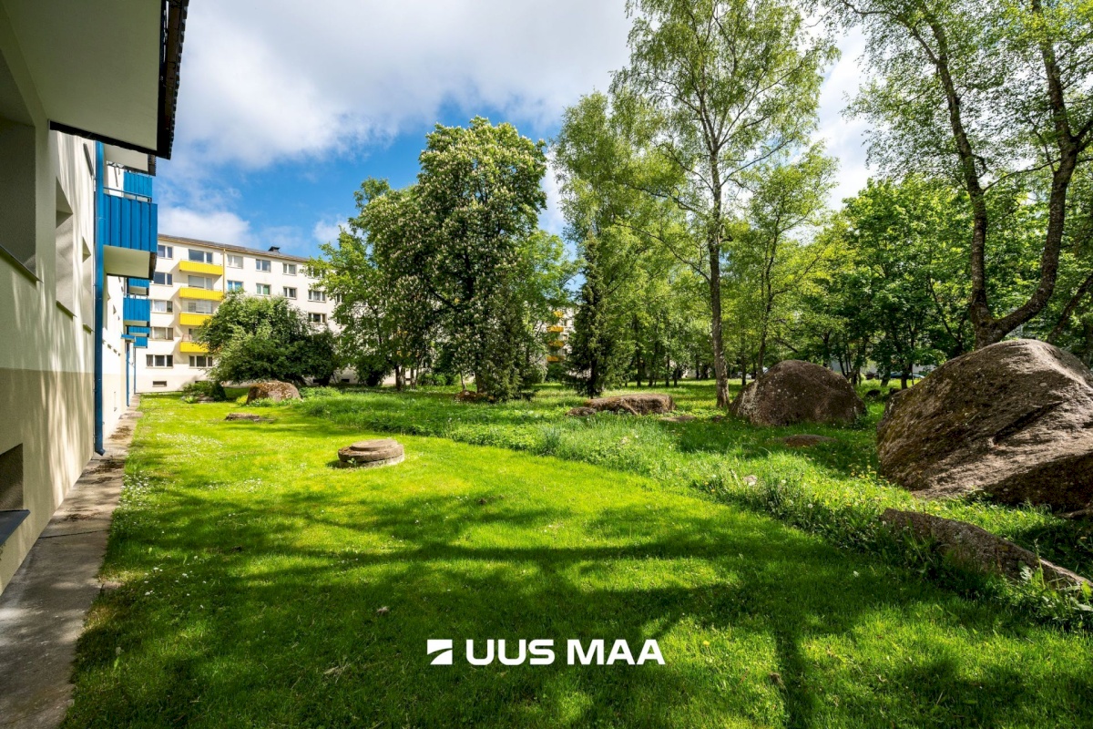 Tallinn, Mustamäe linnaosa, A. H. Tammsaare 103