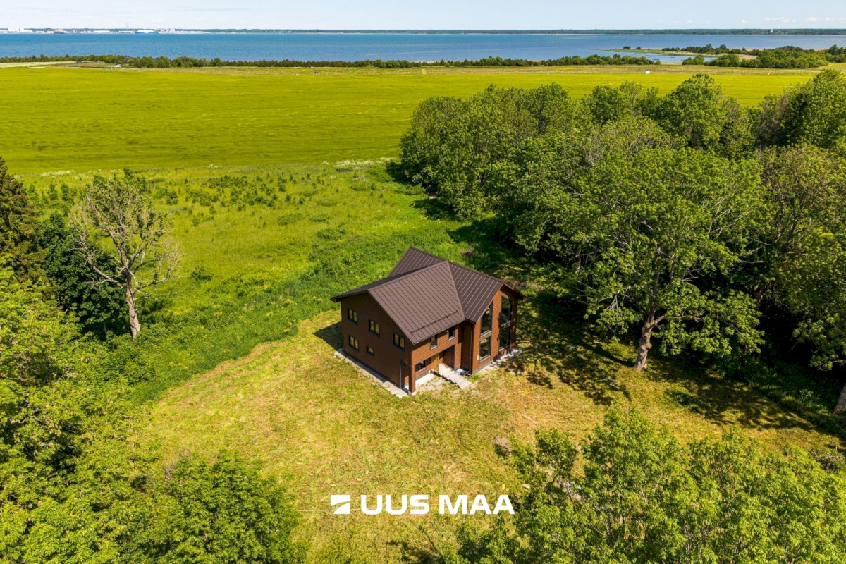 Lääne-Harju vald, Kurkse küla, Saarepuu
