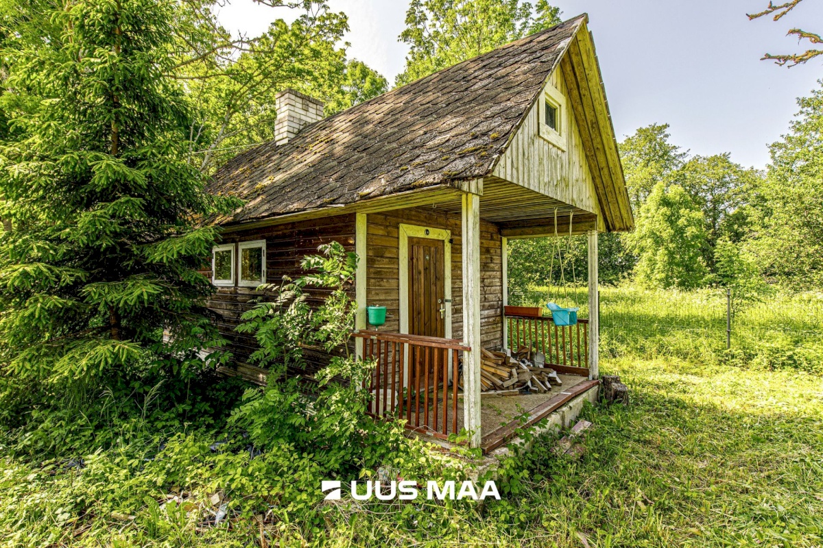 Lääne-Harju vald, Kurkse küla, Saarepuu