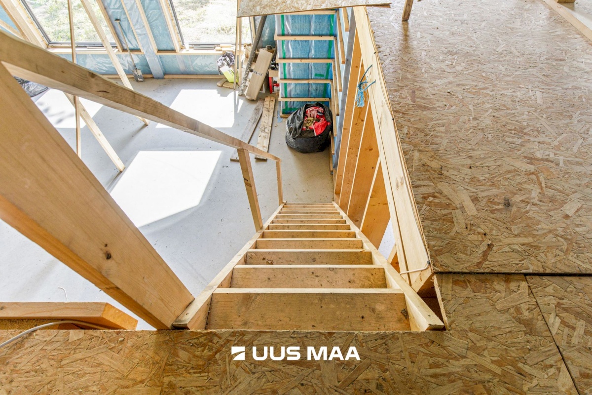 Lääne-Harju vald, Kurkse küla, Saarepuu
