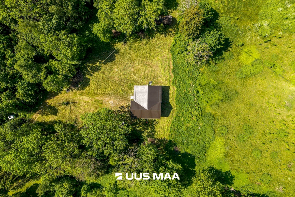 Lääne-Harju vald, Kurkse küla, Saarepuu