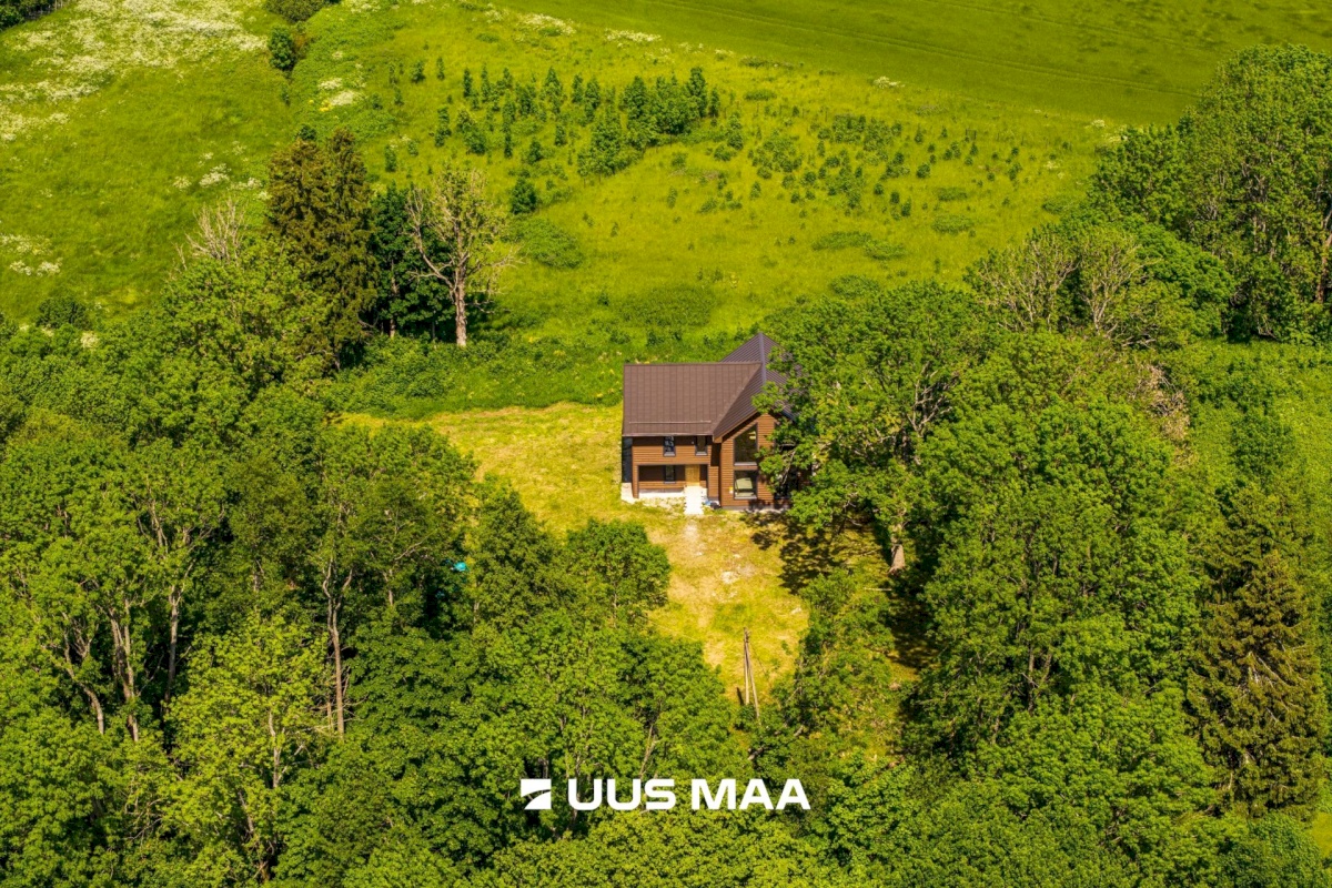 Lääne-Harju vald, Kurkse küla, Saarepuu