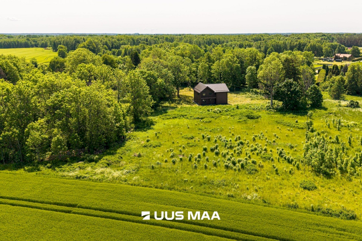 Lääne-Harju vald, Kurkse küla, Saarepuu