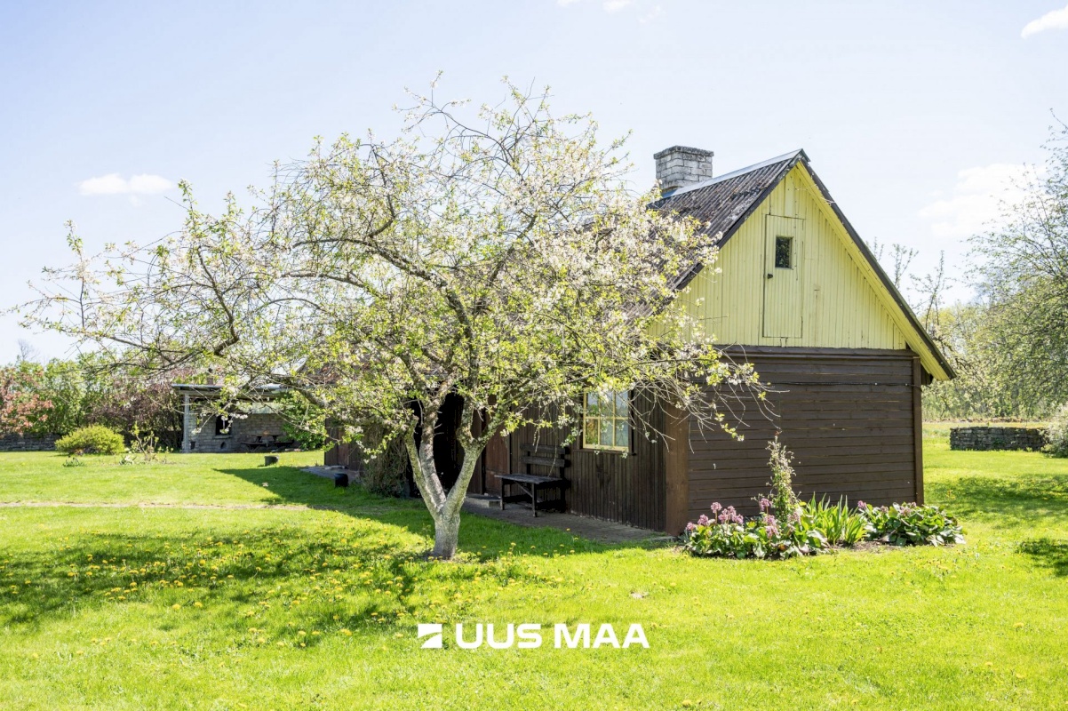 Saaremaa vald, Asuküla, Ruusi talu