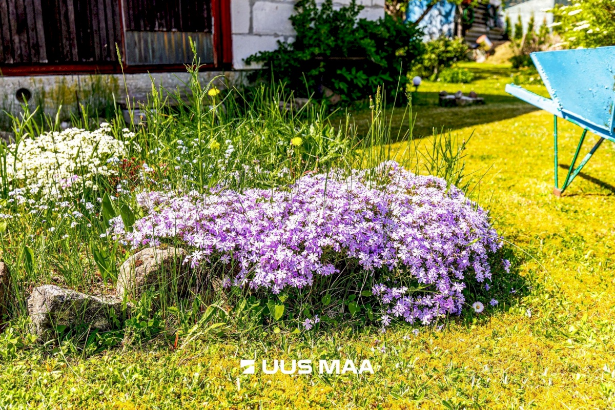 Saue vald, Kaasiku küla, Vahtra AÜ 28