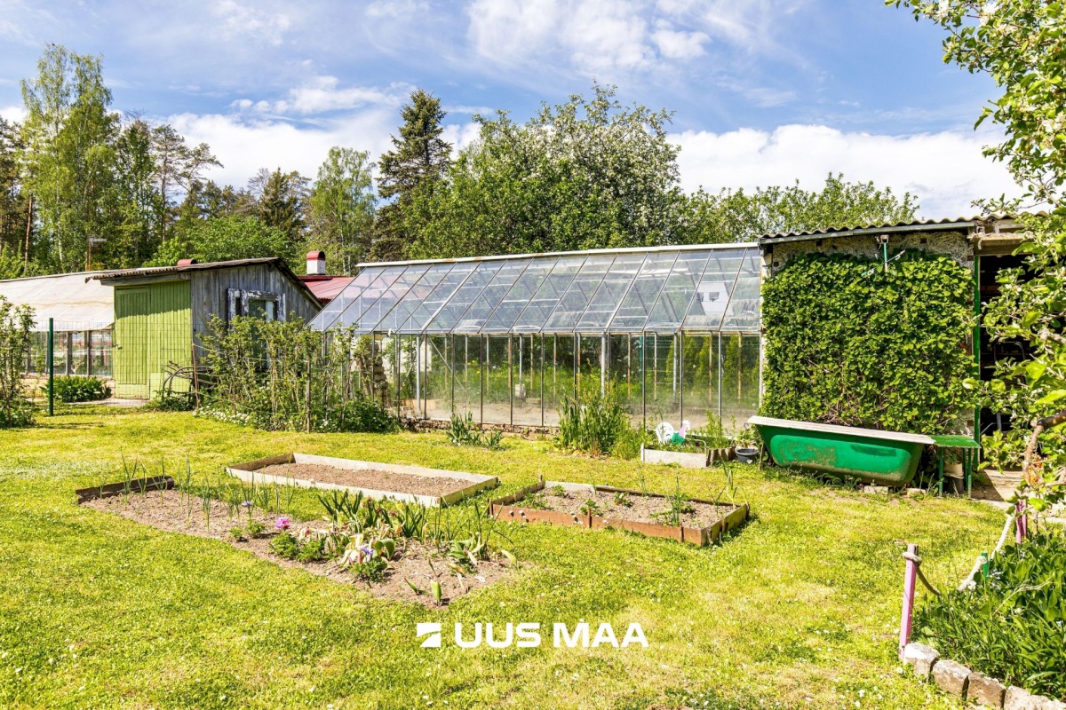 Saue vald, Kaasiku küla, Vahtra AÜ 28