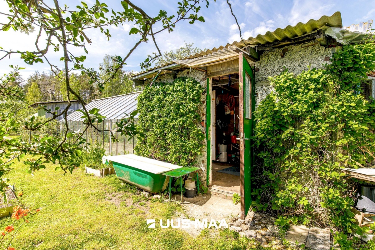 Saue vald, Kaasiku küla, Vahtra AÜ 28