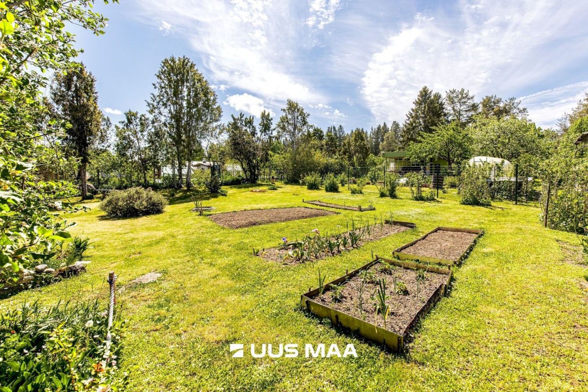 Saue vald, Kaasiku küla, Vahtra AÜ 28