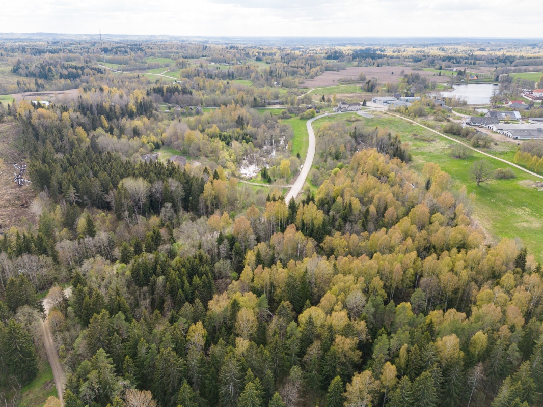 Rõuge vald, Ruusmäe küla, Mäe-Risttee