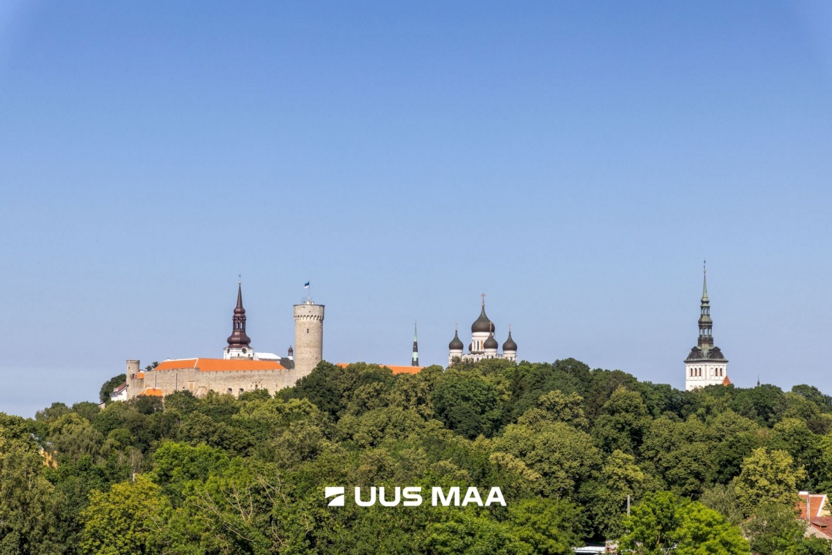 Tallinn, Kesklinna linnaosa, Kassisaba, A. Kapi 7