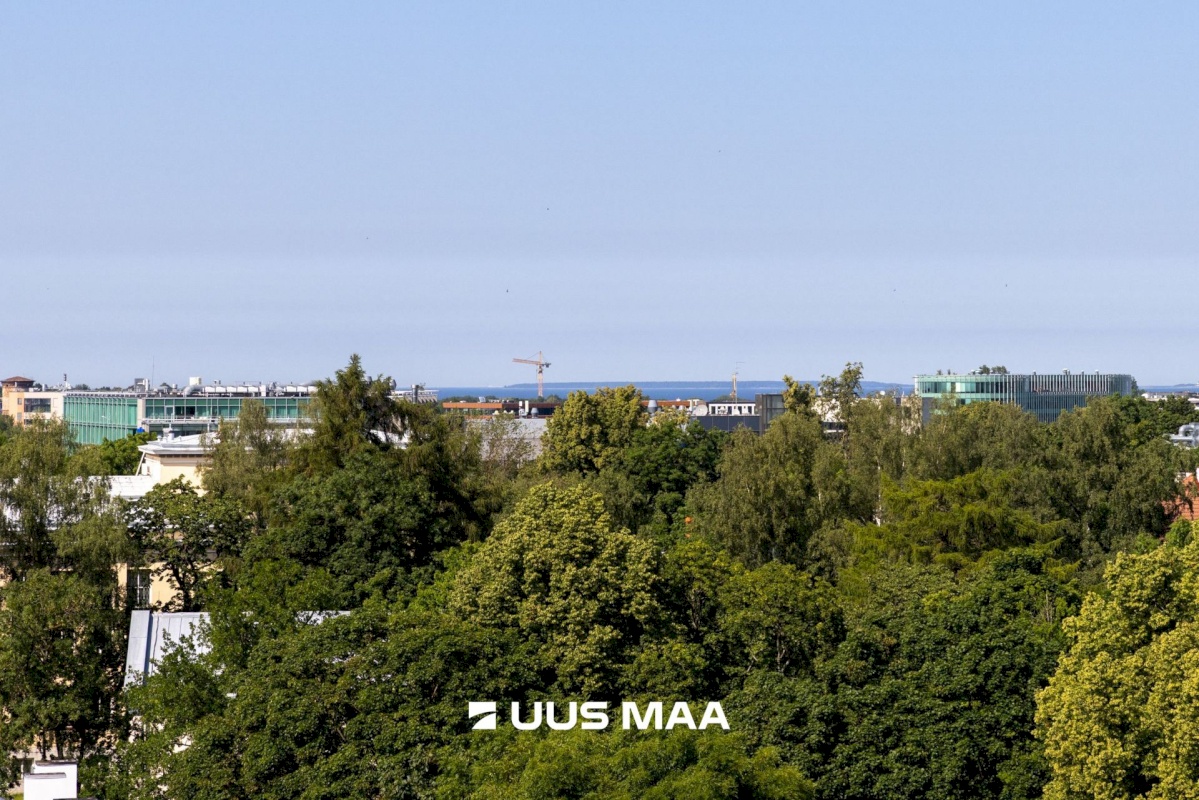 Tallinn, Kesklinna linnaosa, Kassisaba, A. Kapi 7