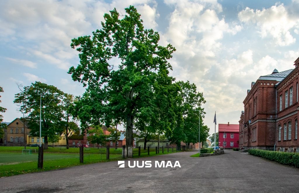 Viljandi linn, Kesklinn, Uueveski tee 3