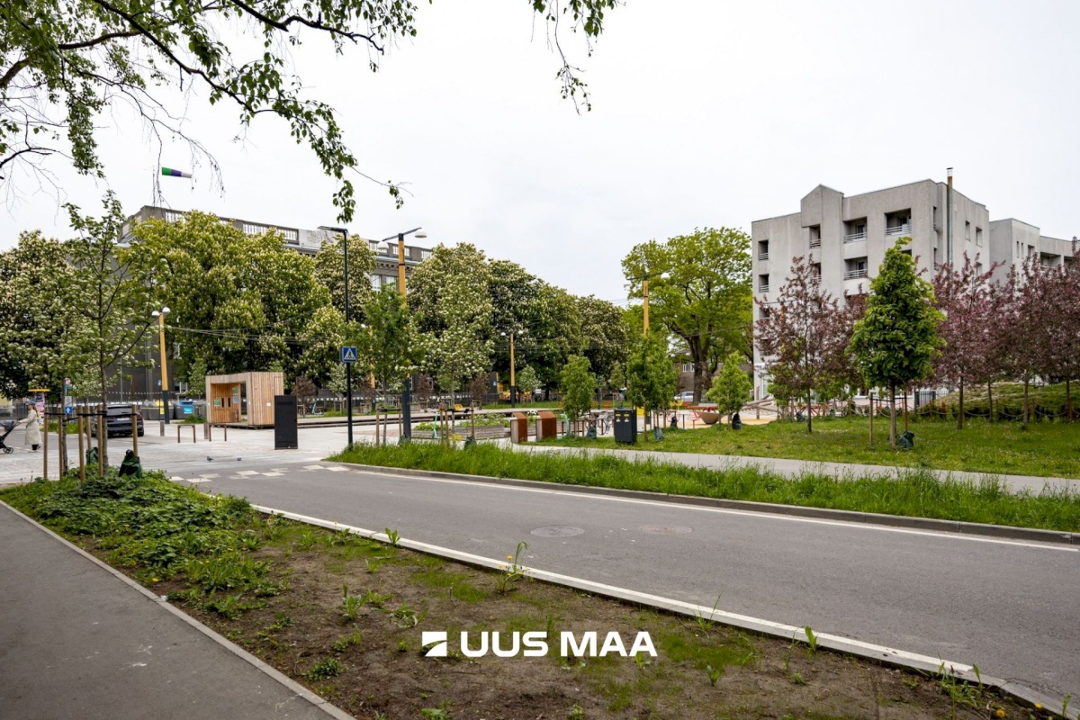 Tallinn, Põhja-Tallinna linnaosa, Kotzebue 14