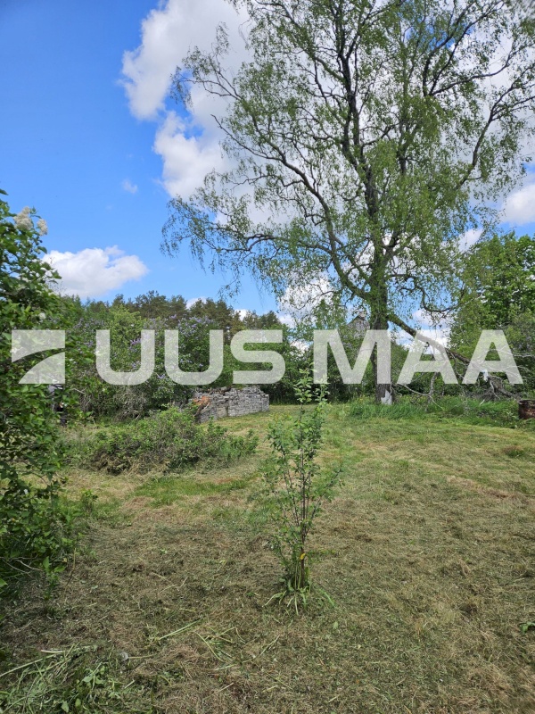 Rapla vald, Lipa küla, Tohvimäe
