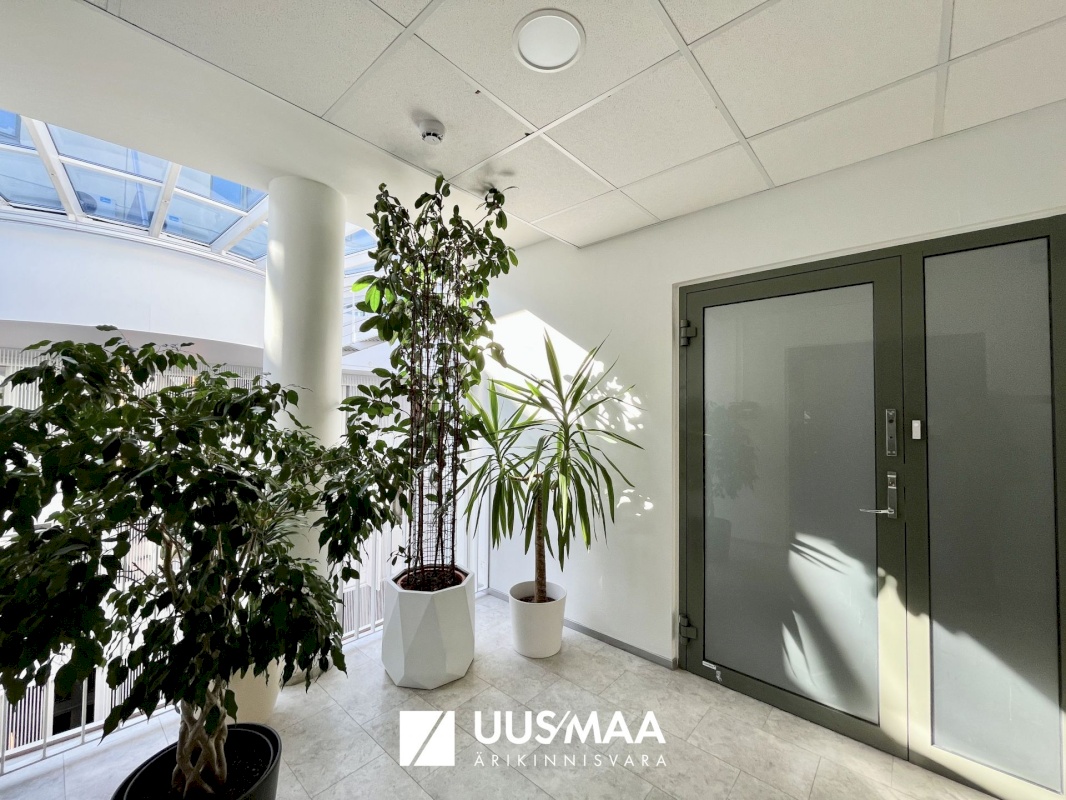 Tallinn, Kesklinna linnaosa, Roosikrantsi 11