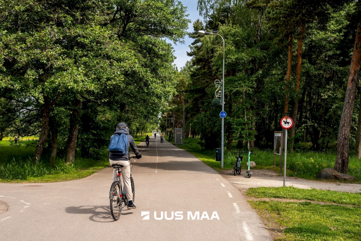 Tallinn, Haabersti linnaosa, Lahepea 19
