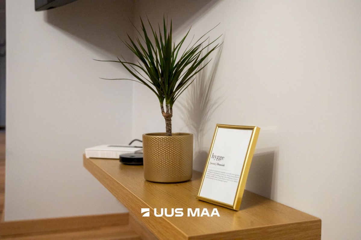 Tallinn, Kesklinna linnaosa, Tõnismäe, Tõnismägi 11a