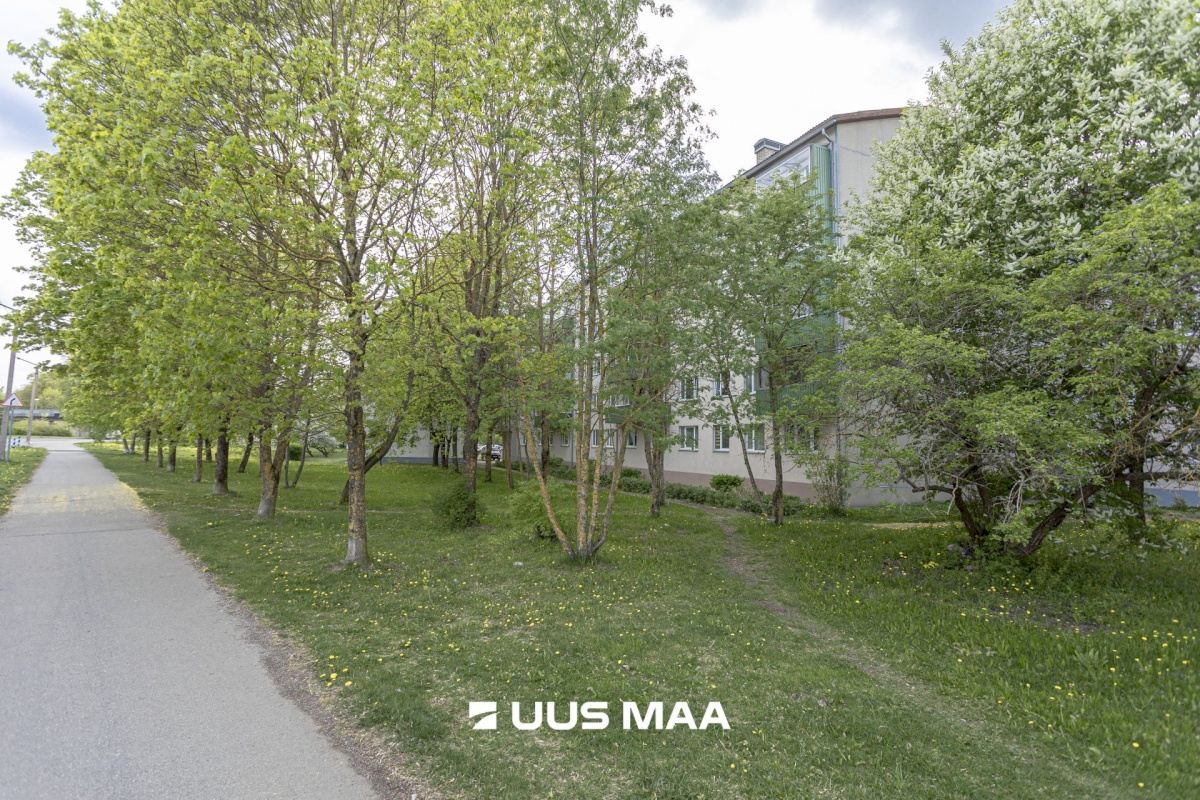 Tallinn, Kristiine linnaosa, Tondi, Seebi tn 26