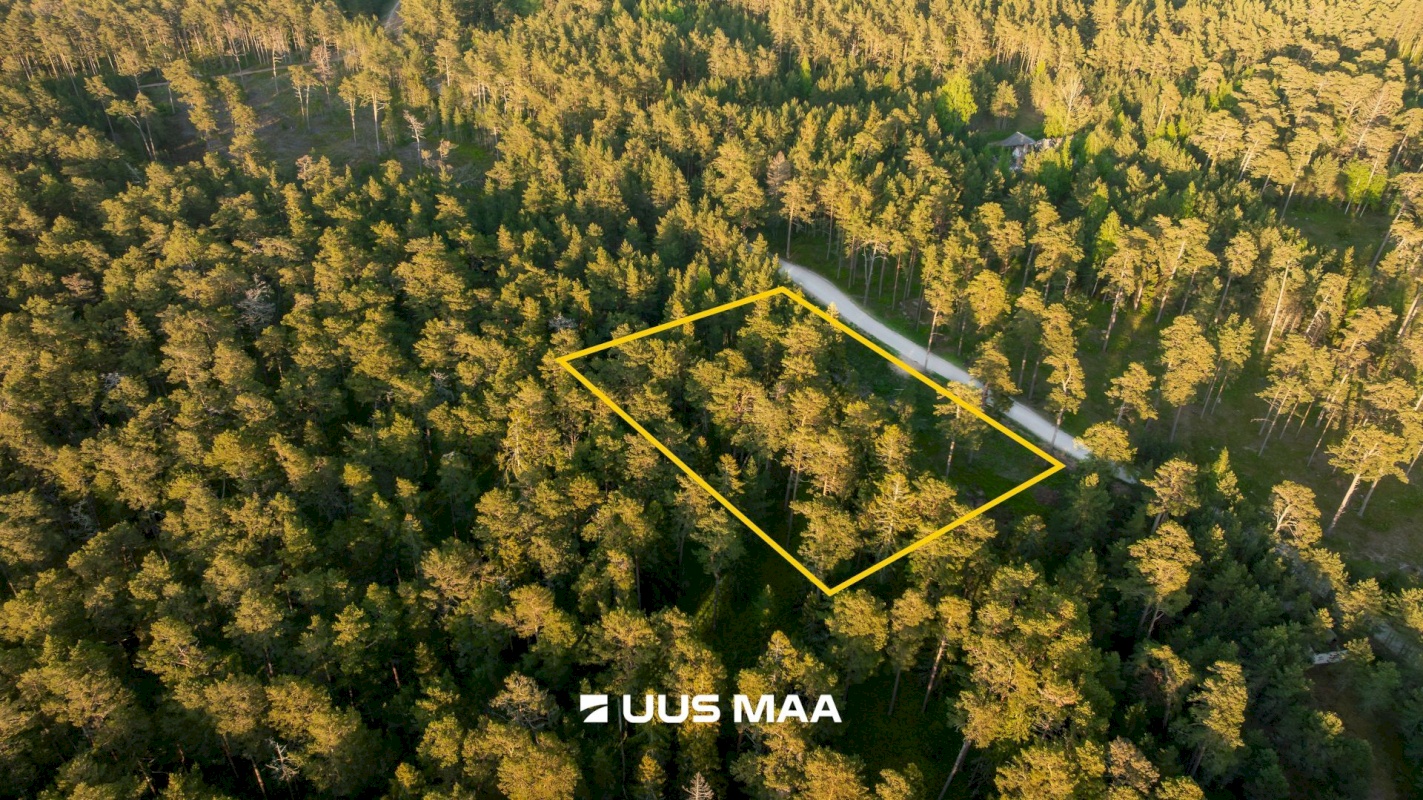 Hiiumaa vald, Kalana küla