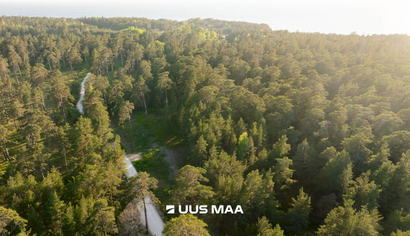 Hiiumaa vald, Kalana küla