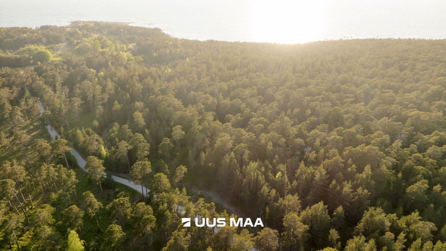 Hiiumaa vald, Kalana küla