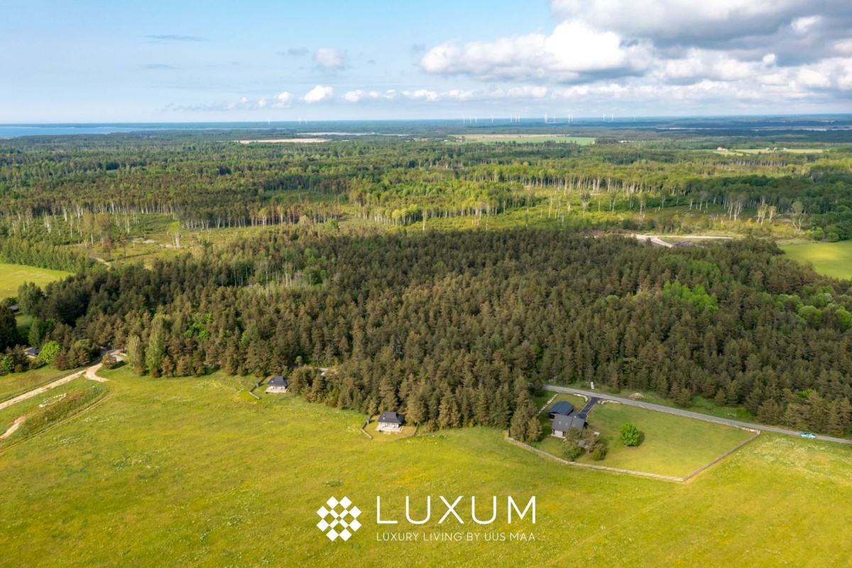 Lääne-Nigula vald, Paslepa küla/Pasklep, Linnupesa