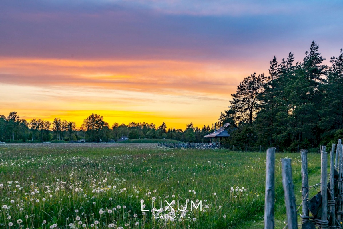 Lääne-Nigula vald, Paslepa küla/Pasklep, Linnupesa