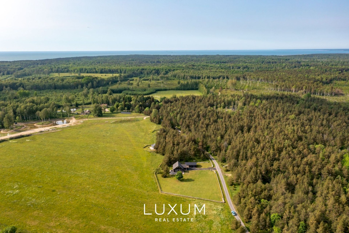 Lääne-Nigula vald, Paslepa küla/Pasklep, Linnupesa