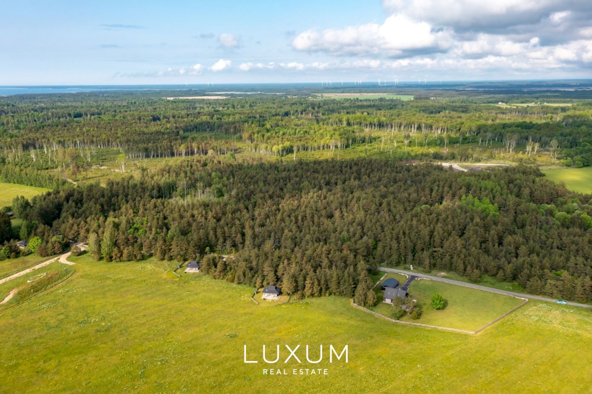 Lääne-Nigula vald, Paslepa küla/Pasklep, Linnupesa