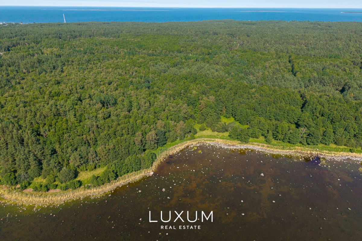 Jõelähtme vald, Neeme küla, Metsamarja põik 26