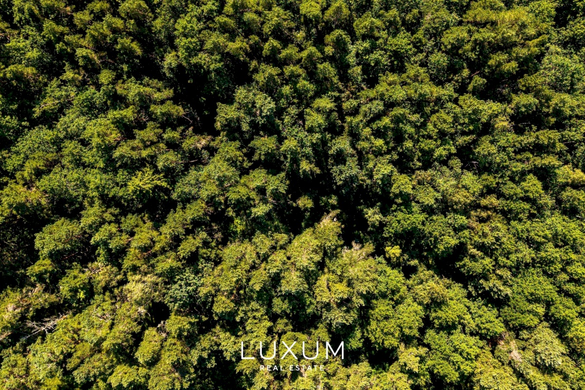 Jõelähtme vald, Neeme küla, Metsamarja põik 26