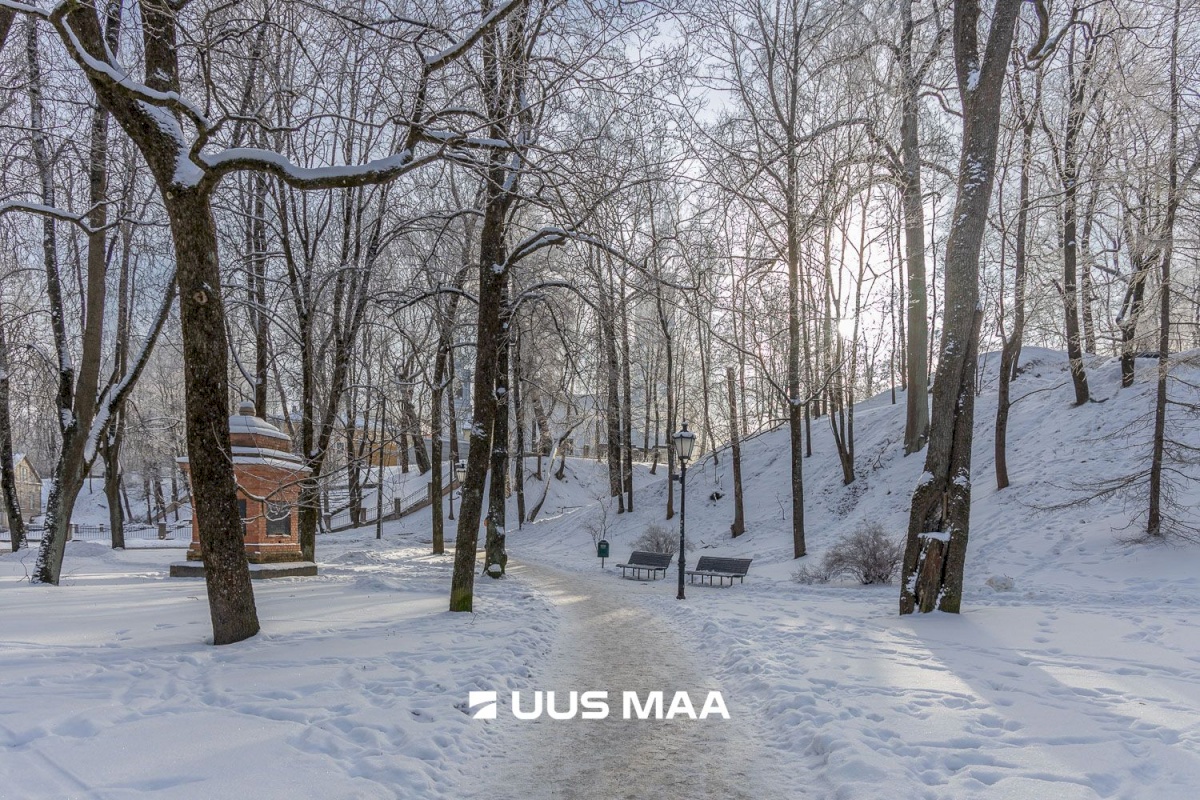 Tartu linn, Tartu linn, Kesklinn, Vanalinna, Vallikraavi tn 11