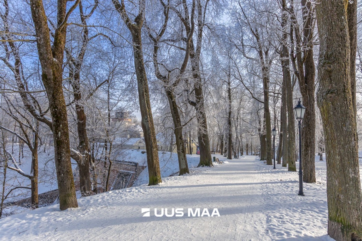 Tartu linn, Tartu linn, Kesklinn, Vanalinna, Vallikraavi tn 11