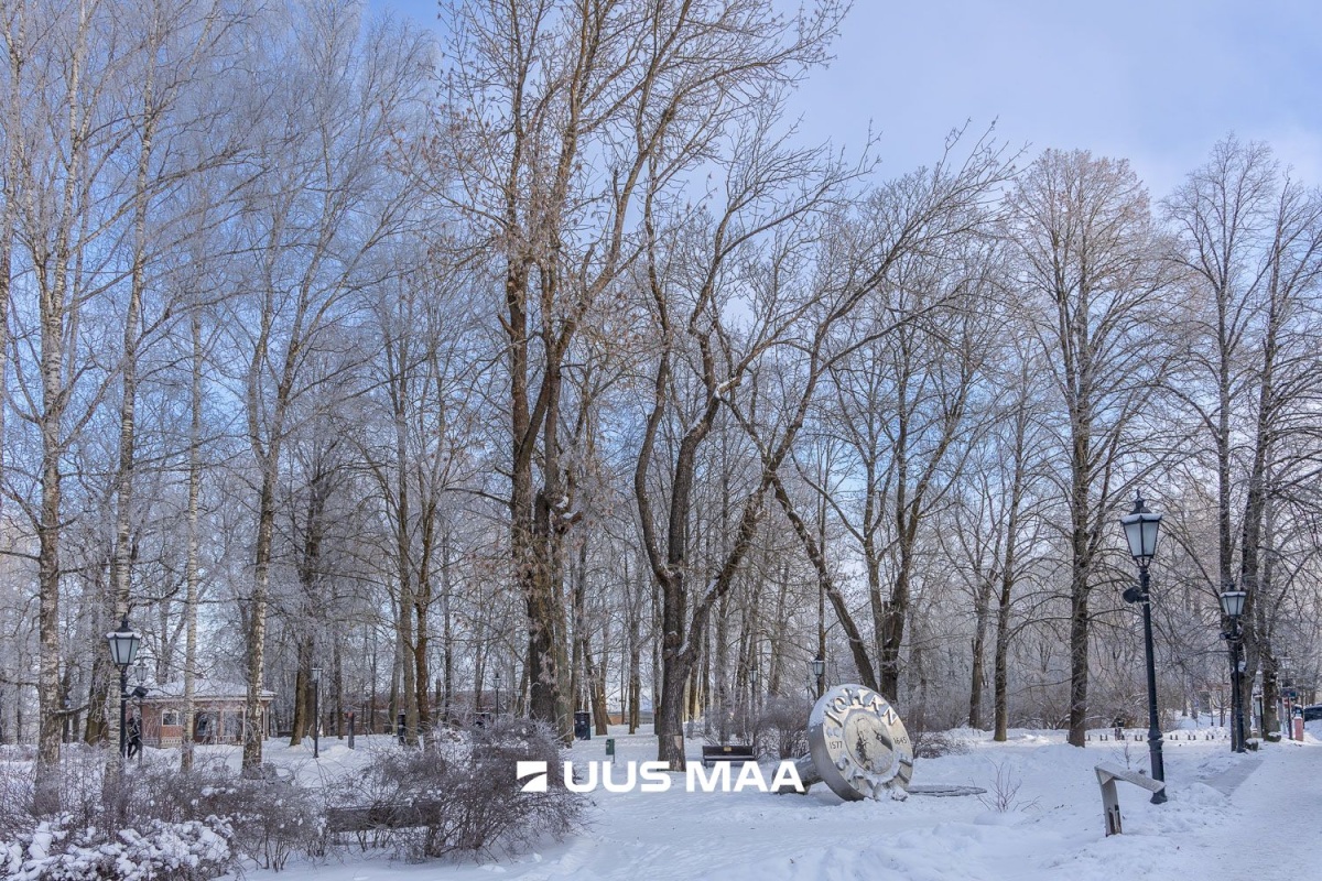 Tartu linn, Tartu linn, Kesklinn, Vanalinna, Vallikraavi tn 11