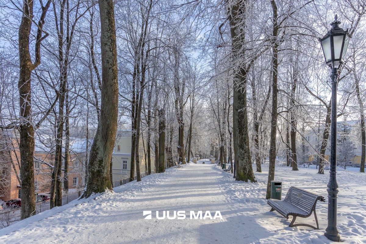 Tartu linn, Tartu linn, Kesklinn, Vanalinna, Vallikraavi tn 11