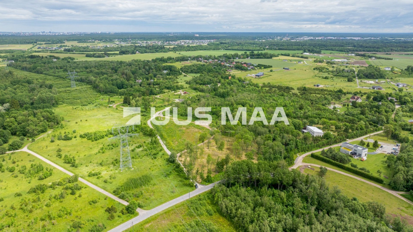 Saue vald, Püha küla, Kurvi tee 53