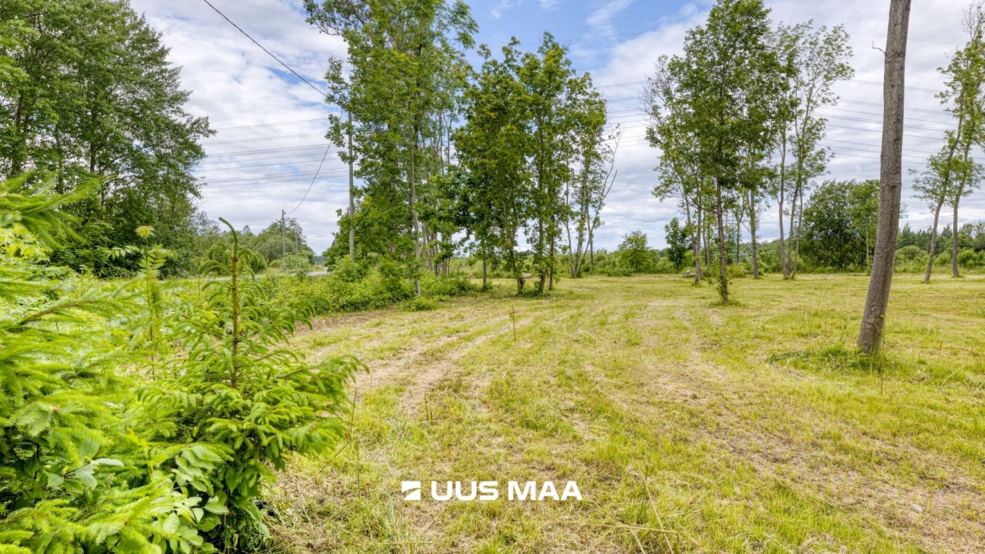 Saue vald, Püha küla, Kurvi tee 53