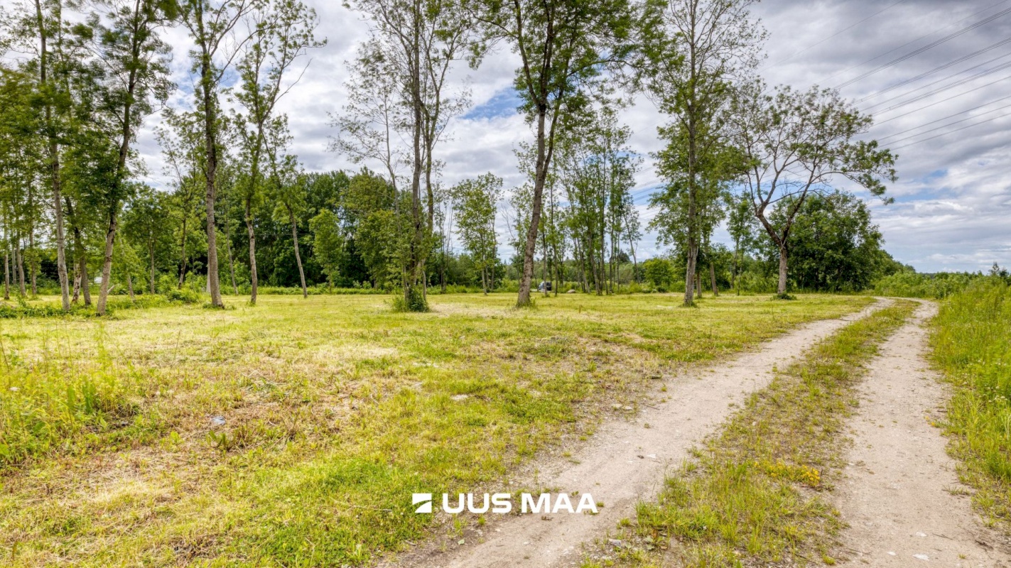Saue vald, Püha küla, Kurvi tee 53