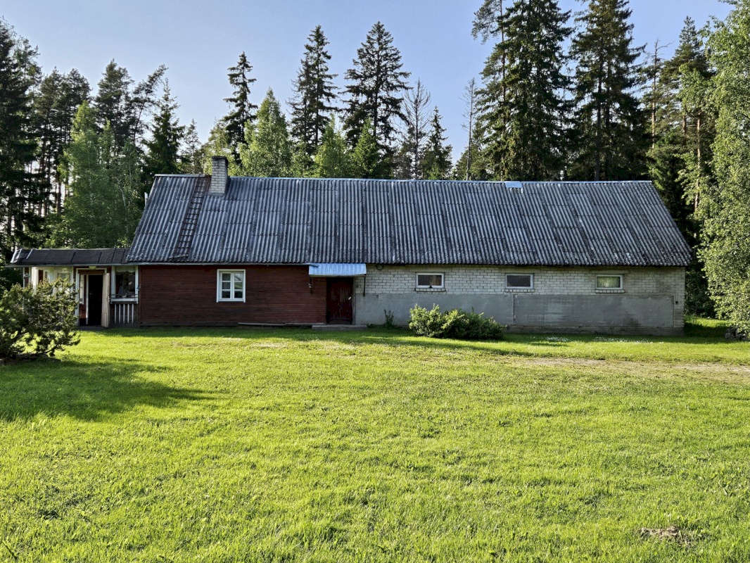 Haljala vald, Vanamõisa küla, Männikvälja