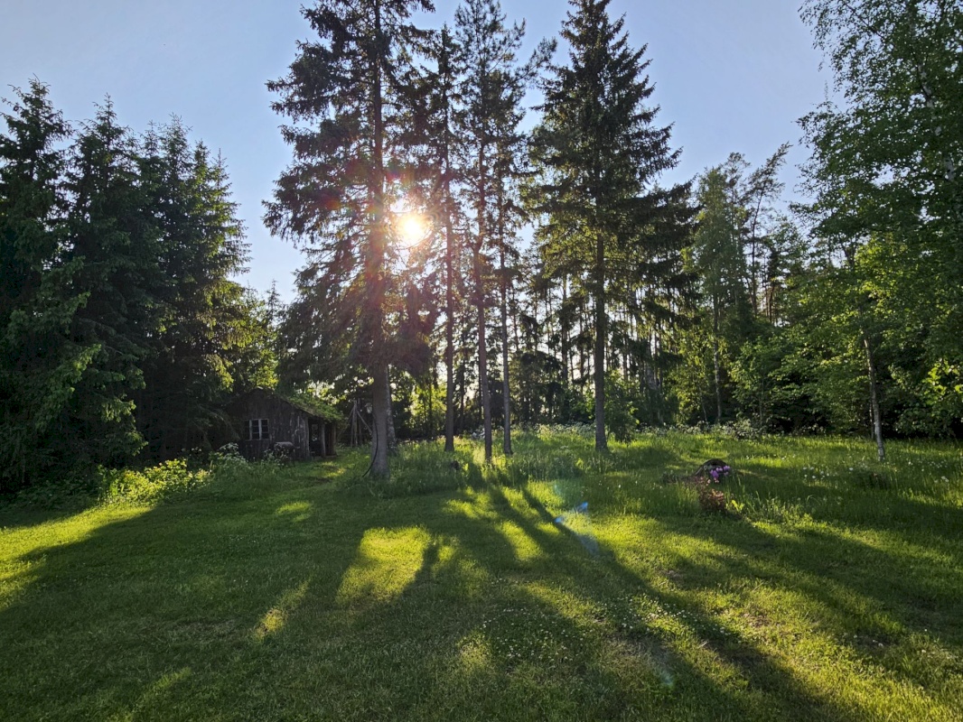 Haljala vald, Vanamõisa küla, Männikvälja