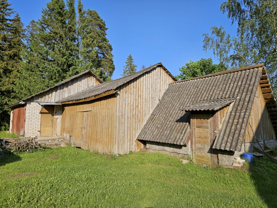 Haljala vald, Vanamõisa küla, Männikvälja