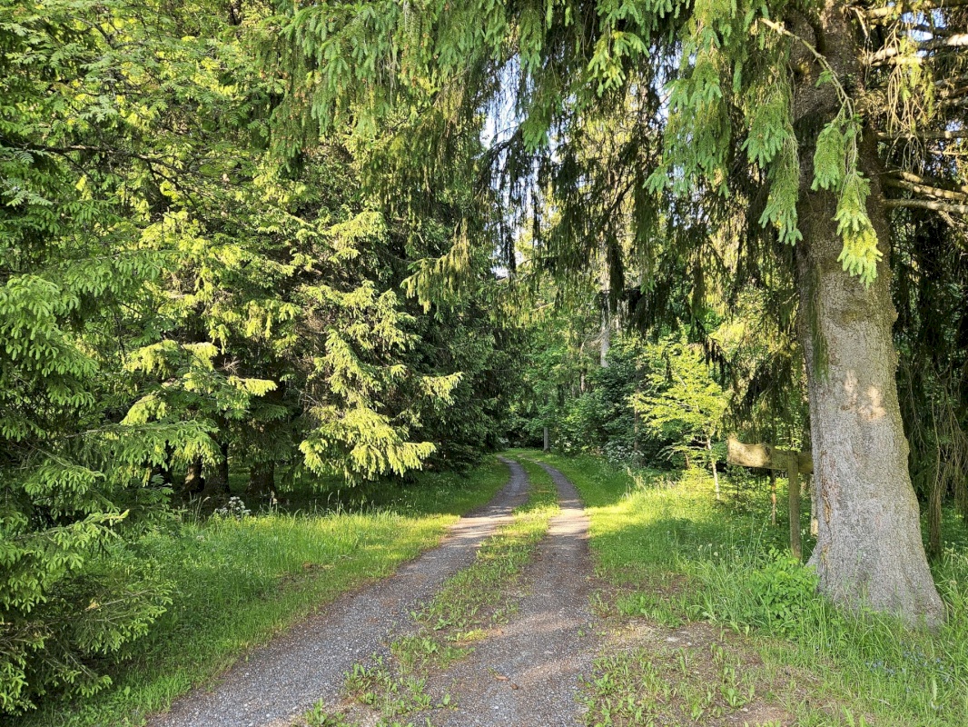 Haljala vald, Vanamõisa küla, Männikvälja
